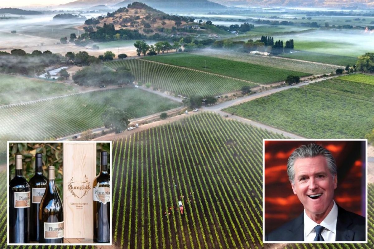 Milajoy's tweet photo. Gavin Newsom owns a winery that was involved in the Los Angeles wildfires. 

While THOUSANDS of Angelinos haven't received a penny from the state to rebuild, Gavin Newsom was given state funds almost immediately. 

This REALLY pisses me off. https://t.co/cXyiGR0CP4