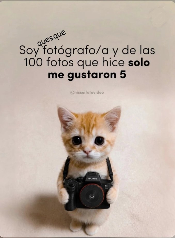 DomanMoman's tweet photo. Cómo ya eh mencionado.
Tomo fotos a diestra y siniestra 😅
Pero de que sale una buena foto, sale. ;-) https://t.co/mB3aXpP7ml