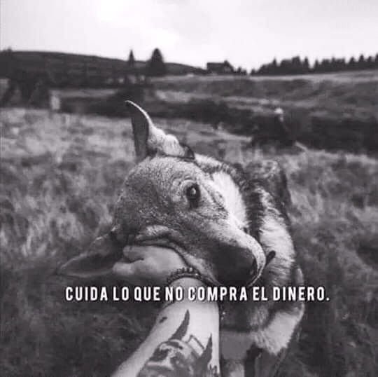 rey_latino33087's tweet photo. https://t.co/re8IuIjJBx