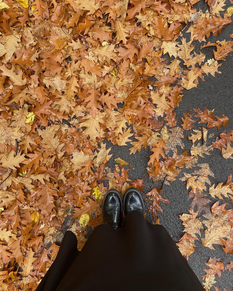 CarollTroeil's tweet photo. Autumn and my recent moments 🤎 https://t.co/b0yy37pbM5