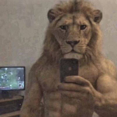 Zimonbito's tweet photo. #NewProfilePic https://t.co/Wfi3kO1Biz