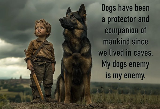 Daviddunc9mg's tweet photo. Mans Best Friend! https://t.co/2iFykIWs6U