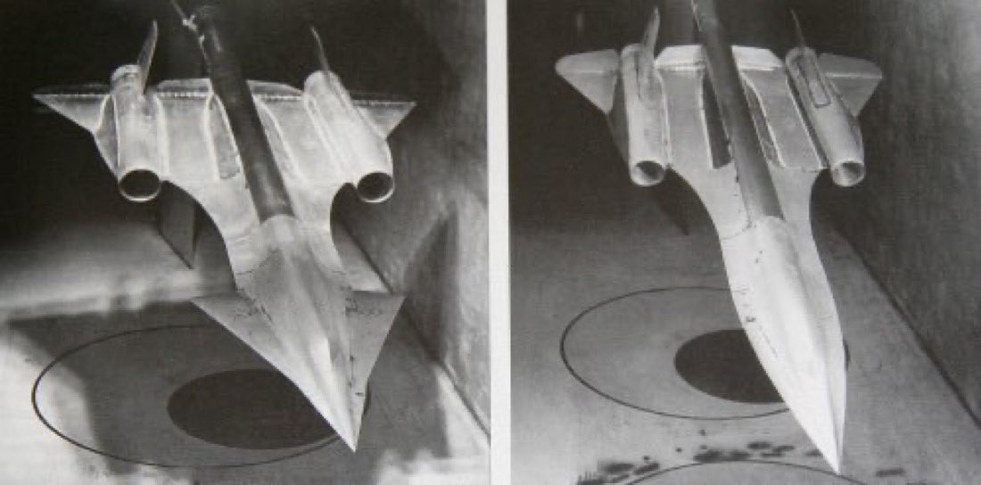 David_JWest's tweet photo. When the SR-71 feels threatened, it will perform a “deimatic display” in which it spreads out its frill, making it appear larger to its natural predators, such as the Air Force Budgetary Committee. https://t.co/4TmFYR8U0R