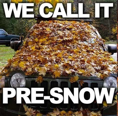 PVLGroup's tweet photo. Friday Fun:        
#fridayfun #friday #funnymemes https://t.co/EAQ9GWqyyb
