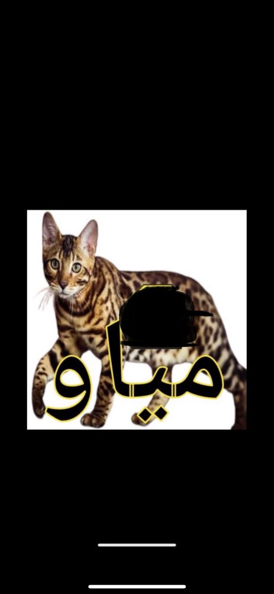 saadm200002's tweet photo. @11_chiico كل تراب  يا خدمي

حنا حاضرين 

ما كان فيه قايد للمدرج

سابوه ليه  من وين جايبتها 
ي خدم 
مياو 🐈‍⬛ 
🐈‍⬛🐈‍⬛🐈‍⬛🐈‍⬛🐈‍⬛🐈‍⬛🐈‍⬛🐈‍⬛ https://t.co/C3ha6AsTnd