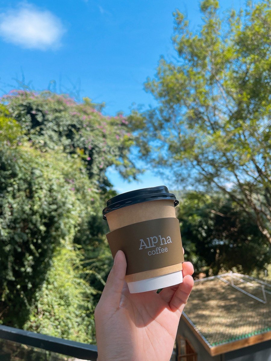 AgusSet36476771's tweet photo. This cozy café on a hidden trail—sipping warm matcha, lingering over fresh pastries, no need to rush. https://t.co/ZYwECXgkkl