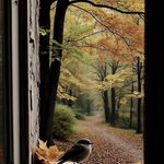 Photo by DENİZ_TOPRAK2 (@TOPRAK_2_)