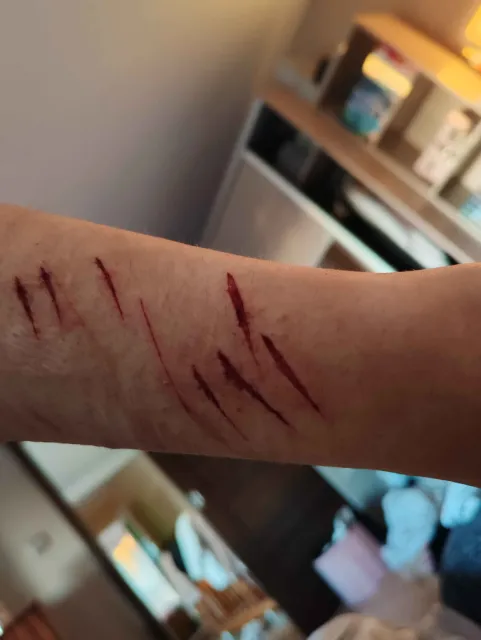 teenageeddiary's tweet photo. OMG LOOK WHAT MY CAT JUST DID  sfx makeupp
#nsfwtwtً https://t.co/VK626pxbux