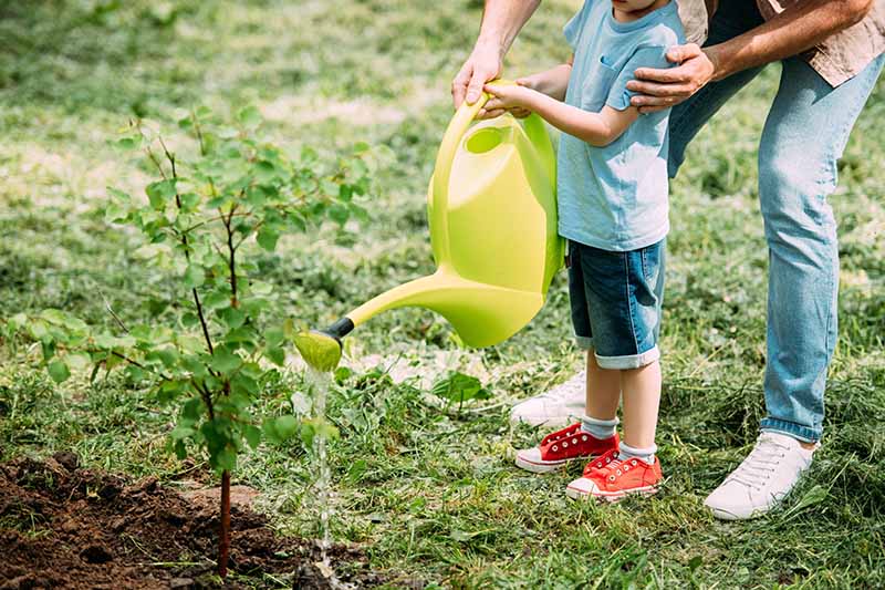 Gardeners_Path_'s tweet photo. 11 of the Best Gardening-Themed Books for Children - share your love of gardening and teach the kids about the natural world with 11 of our favorite gardening books for kids. Read our roundup now on Gardener's Path. https://t.co/CbfnnYpQJA #gardeningbooks #booksforkids #garden https://t.co/wKjbhFw4uv