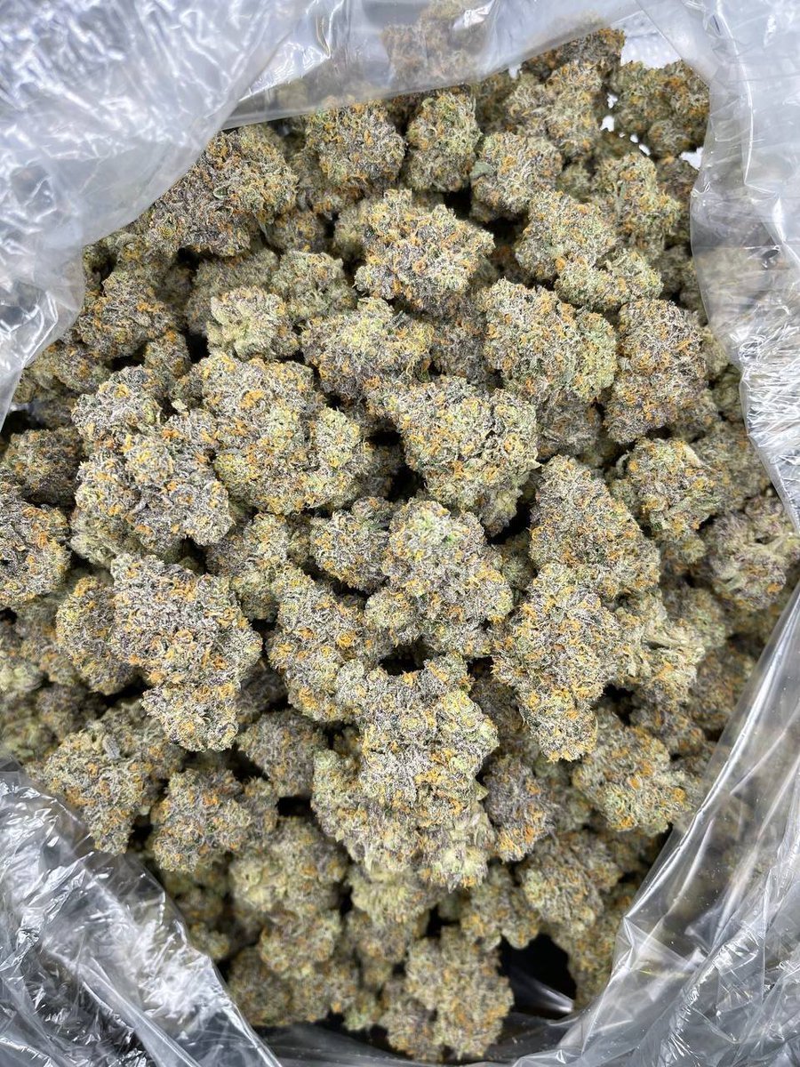 STONERS2026's tweet photo. Strawberry shortcake Available as seen send me a dm let's work 

📱https://t.co/LdWb40qXcV  

📱 https://t.co/anwZLbezHF

#cannabis #strain #flower #budshots #weedculture #Texas #Tx #cbd #thc #worldwide https://t.co/LIxBeqlT8K