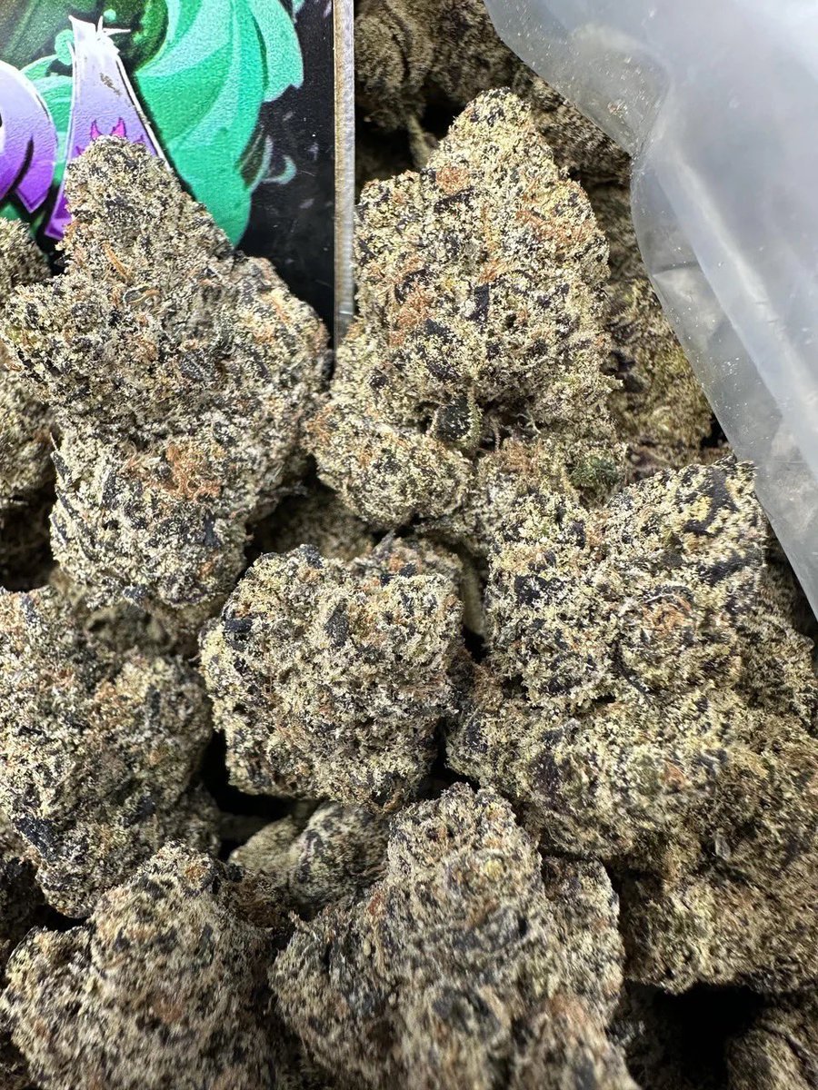STONERS2026's tweet photo. Cream pie Ava as seen send me a dm let's work 
📱https://t.co/LdWb40qpnn  

📱 https://t.co/anwZLbe1S7

#cannabis #strain #flower #budshots #weedculture #Texas #Tx #cbd #thc #worldwide https://t.co/T3CWNmt4Kv