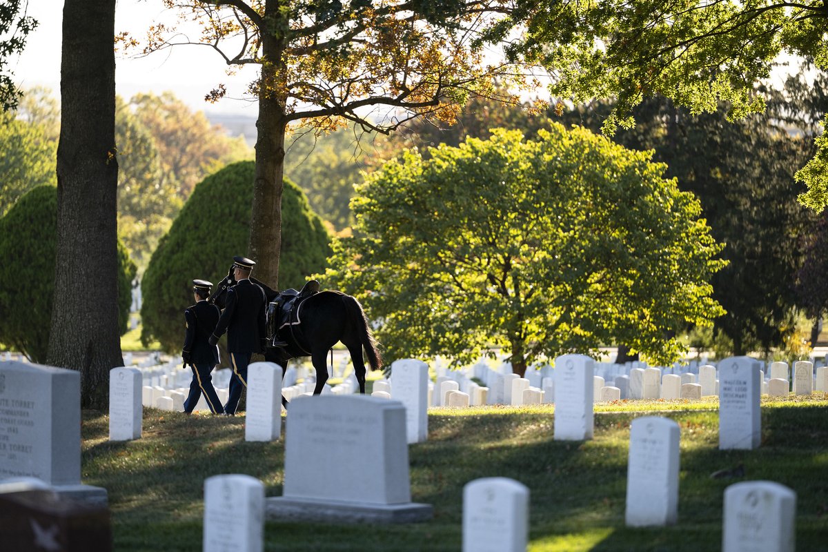 ArlingtonNatl's tweet photo. Section 10 of Arlington National Cemetery. 

📸U.S. Army photo by Elizabeth Fraser https://t.co/Pcm9KkuQCw