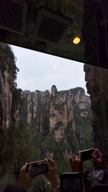 DivineRobimu's tweet photo. Funny thing is, morning light spills over—quiet enough to hear yourself. 🌲 https://t.co/WBOva2Fxbh