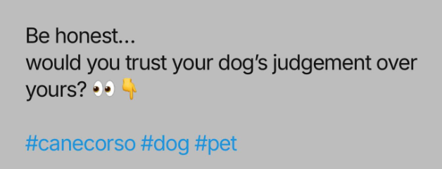 ShadowFriendlyD's tweet photo. hmm $SHADOW be honest.. https://t.co/olNlkNgXgH