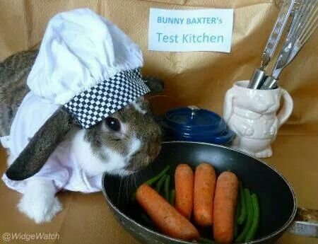 bunnyrabitsworm's tweet photo. cooking dinner https://t.co/IPNj591Sqd