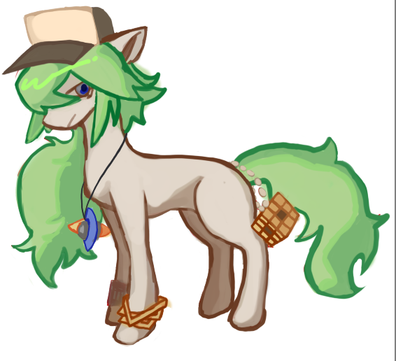 edenharmonia's tweet photo. N as a pony < 3 #pokemon https://t.co/lSimMWjqLn