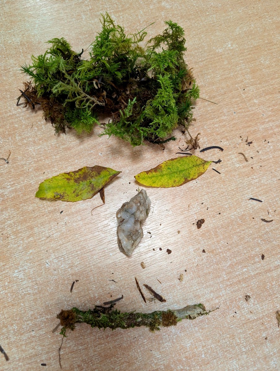 BlairvadachDan's tweet photo. Hosting the first evening for @middlefieldsch as they embark on their 4 day residential @BlairvadachOEC 
After refuelling with a tasty dinner, we've explored the grounds looking for 'camoflaged' items, reflected in our Portfolios &amp; created some art from nature.
#MiddlefieldBV26 https://t.co/ZogtgRQSEo