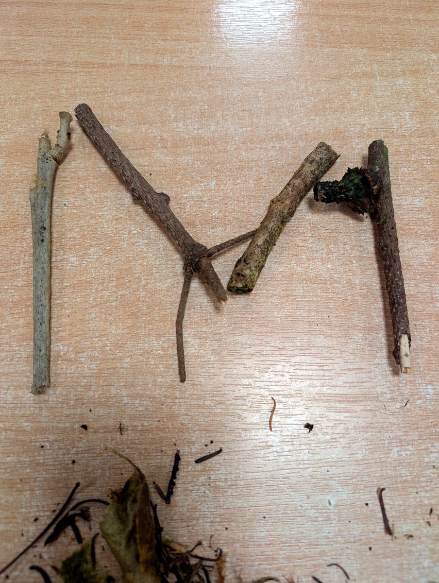 BlairvadachDan's tweet photo. Hosting the first evening for @middlefieldsch as they embark on their 4 day residential @BlairvadachOEC 
After refuelling with a tasty dinner, we've explored the grounds looking for 'camoflaged' items, reflected in our Portfolios &amp; created some art from nature.
#MiddlefieldBV26 https://t.co/ZogtgRQSEo