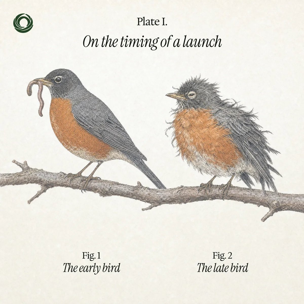 RoostLaunch's tweet photo. a field guide to launches on Roost https://t.co/DL7Gm0Pqyf