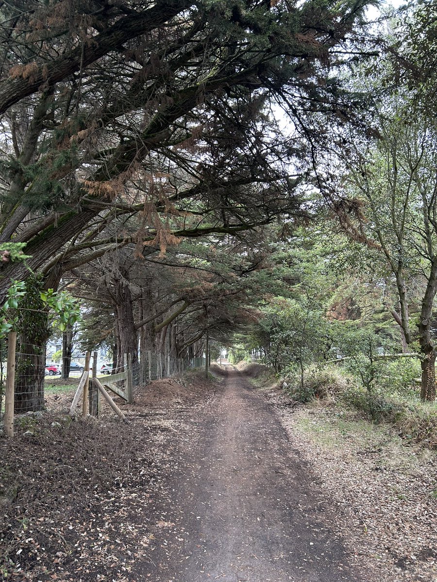 CoraRuizA's tweet photo. Hacer ya 9 habitaciones completas 💪 sudando, saltando y ejercitando 😂 la caminata por el bosque, la tranquilidad del lago y los croissants 🥐 https://t.co/iNFfp5bL0H