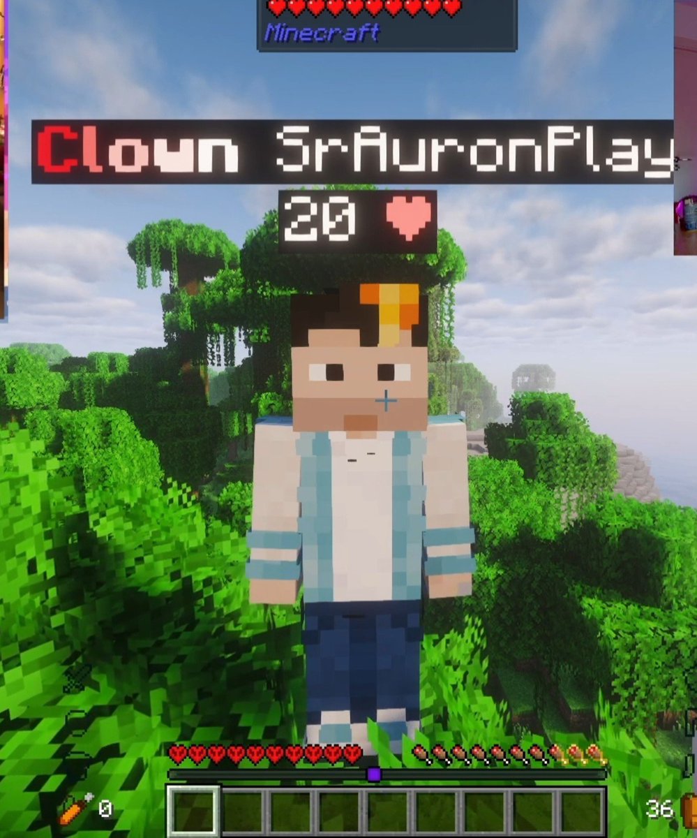 ElBarto_1712's tweet photo. Auron y Juan cubito en el Minecraft hardcore día 6 https://t.co/AG1XFafATf