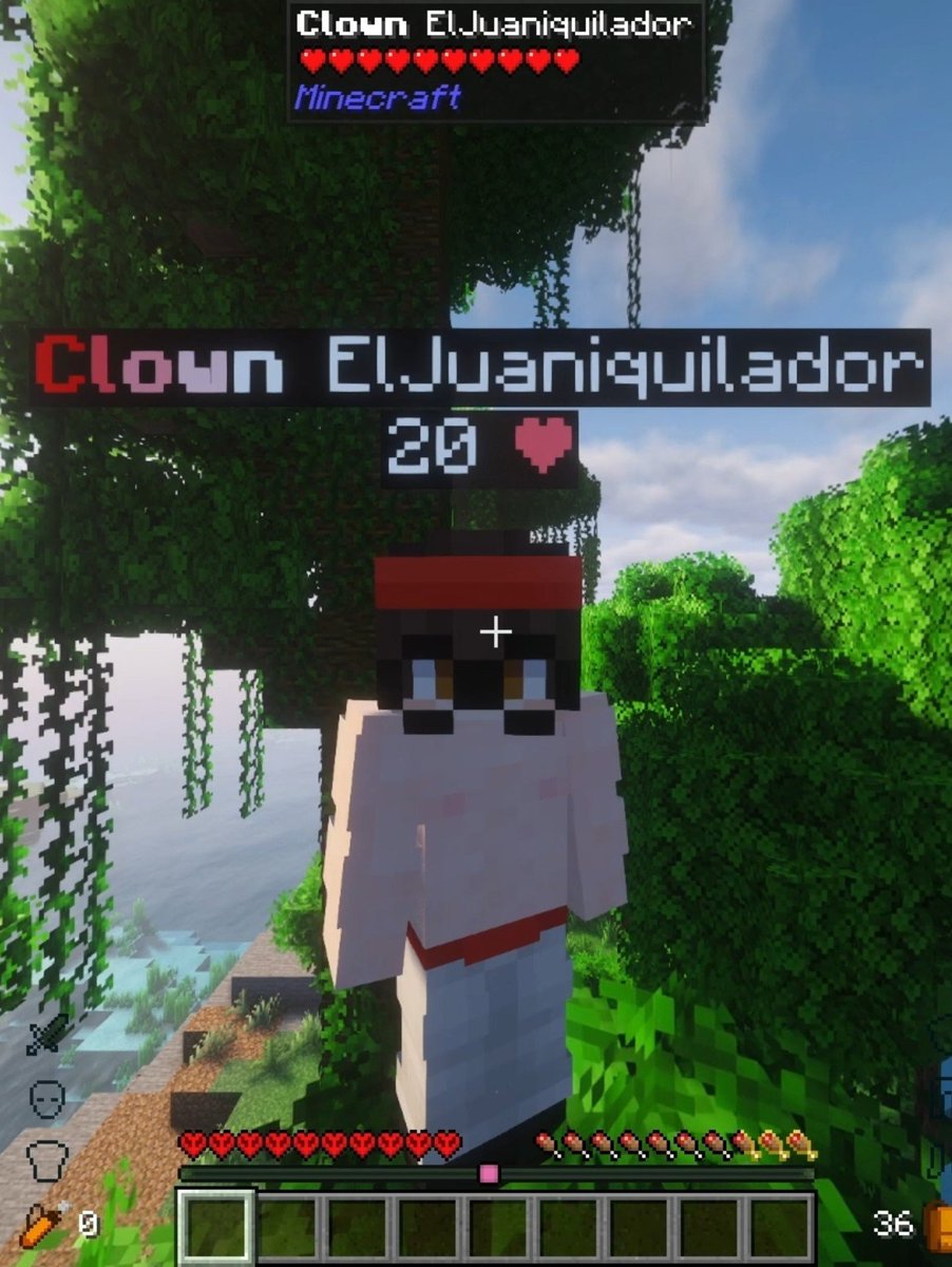 ElBarto_1712's tweet photo. Auron y Juan cubito en el Minecraft hardcore día 6 https://t.co/AG1XFafATf