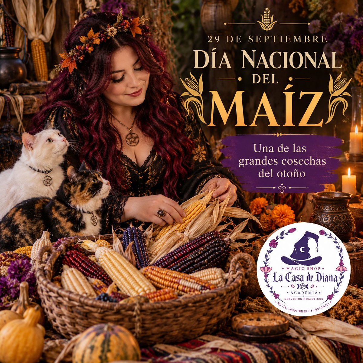 lacasadediana's tweet photo. #dianacionaldelmaiz #mabon #otoño https://t.co/lPI7ZnEchz