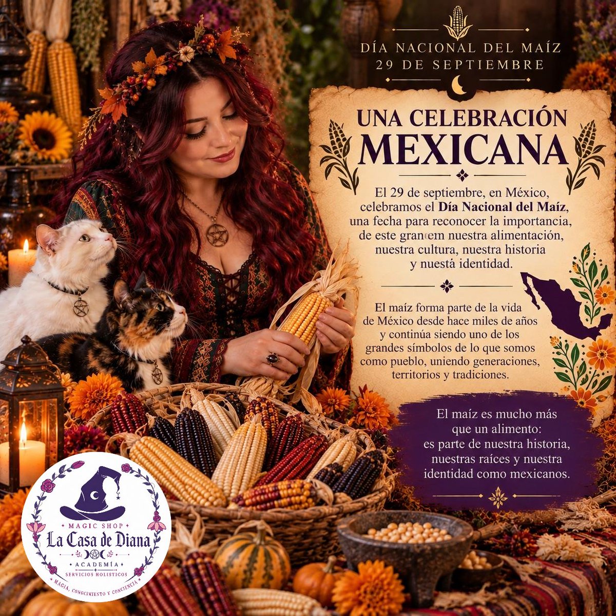 lacasadediana's tweet photo. #dianacionaldelmaiz #mabon #otoño https://t.co/lPI7ZnEchz