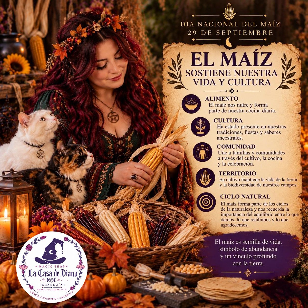 lacasadediana's tweet photo. #dianacionaldelmaiz #mabon #otoño https://t.co/lPI7ZnEchz