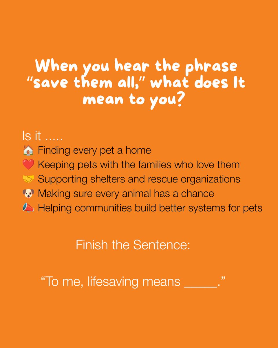 bestfriends's tweet photo. What does it mean to “Save Them All”? 🐾💙

💬 Finish the sentence: “To me, lifesaving means ______.”

#SaveThemAll #BestFriendsAnimalSociety #ShelterPets #Lifesaving #AdoptDontShop https://t.co/ydTP8ZlV1E