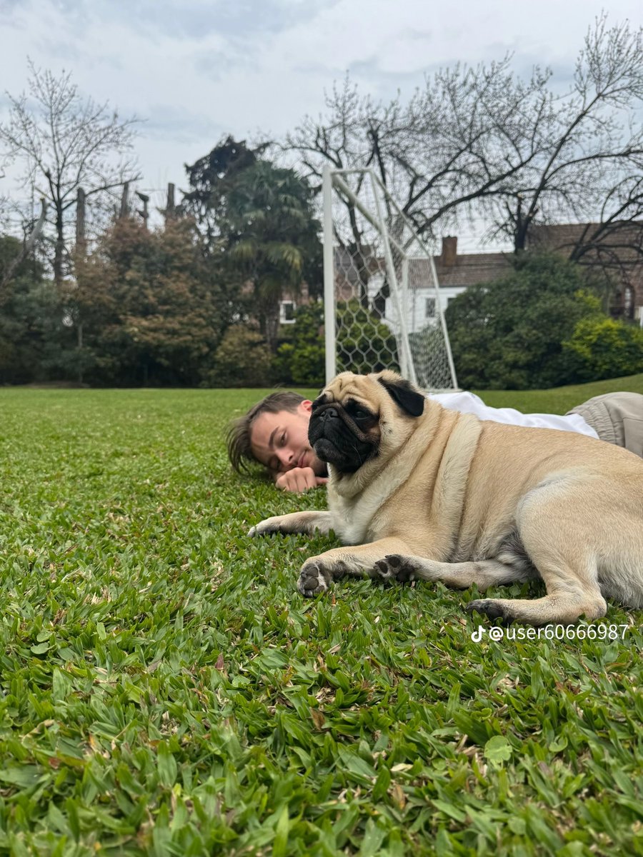 oscextasisz's tweet photo. q lindos perros https://t.co/thIL8g82jQ
