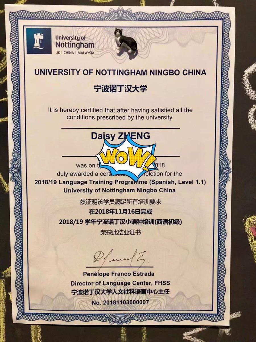 Singletonzang's tweet photo. Lo logré! Aprobé el examen de certificación de marketing digital  Estudio duro da sus frutos, sigan intentando! https://t.co/ig7H2E0Tde