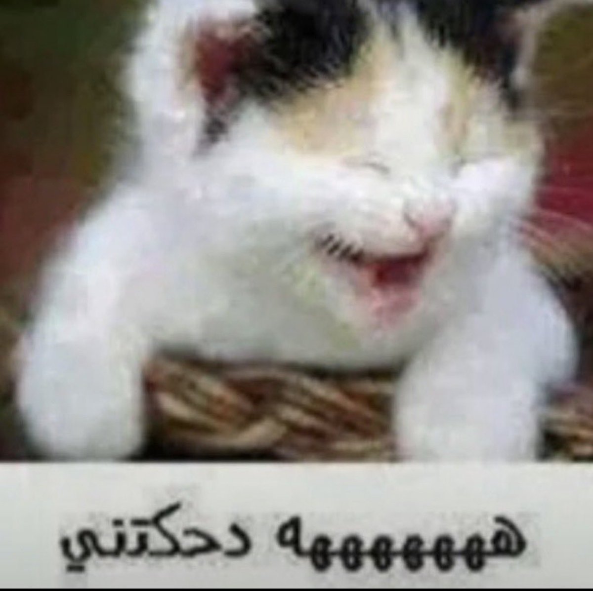 lusthangover's tweet photo. تذكرت لما كنت ابي استثمر بالمكافأة https://t.co/wv1cDXT6T5