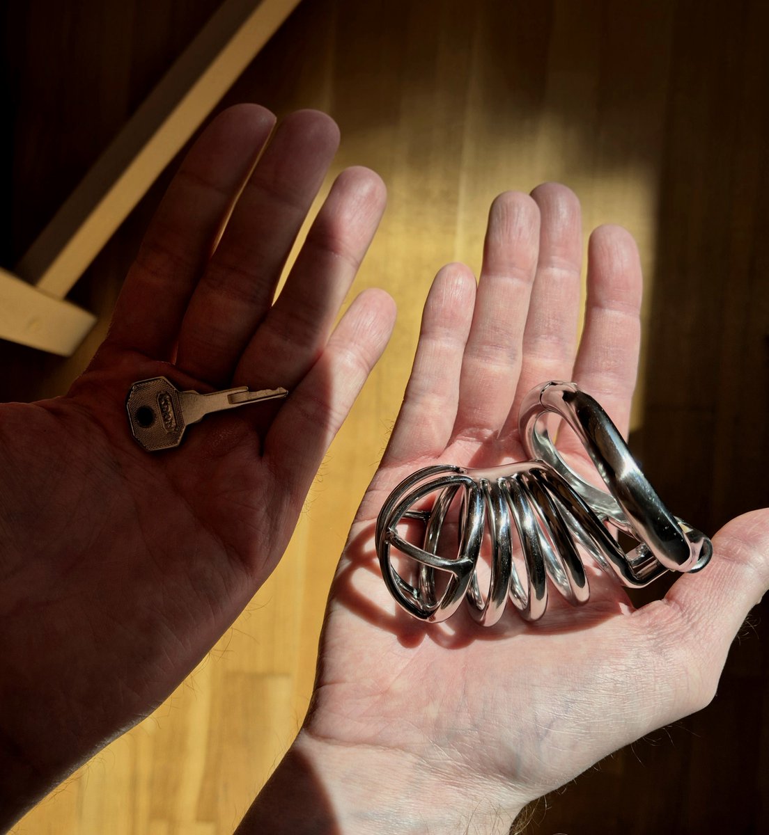 Shikima_KH's tweet photo. I make you an offer: take my key to my cage or take the cage and I'll keep the key. I'm sure you make the right choice. #locktober https://t.co/AkNdZ24LpG