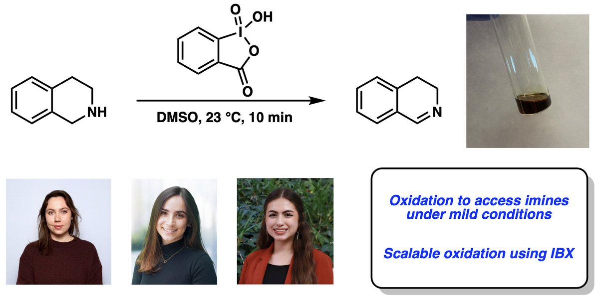 GargLab's tweet photo. Recently, Abby, Giulianna, and Christina published a procedure for the oxidation of amines utilizing the mild oxidant IBX in @OrgSynth. Thank you to the @MaulideLab for checking, and congratulations to all the authors!  Read it here: https://t.co/iBOoTxgtwB
@uclachem https://t.co/XSA10sjLEF