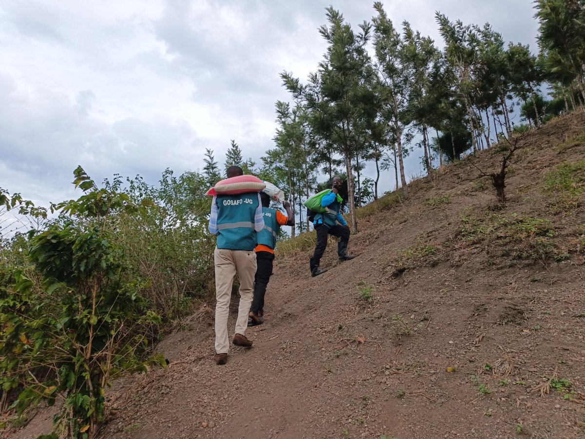 Gosafo_ug's tweet photo. Climbing steep hills to deliver food to vulnerable households.
#gosafoug #emergencyfoodrelief #Uganda #servingtheforgotten #hopeinaction #CommunityDevelopment #hopeinaction https://t.co/rky8krhS3S