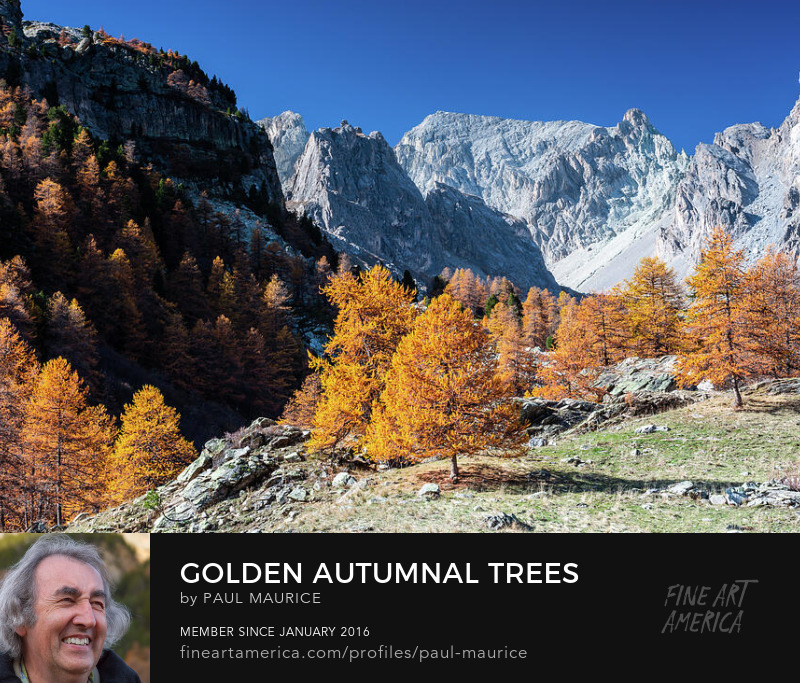 apollo0300's tweet photo. Golden autumnal trees in the Upper Claree Valley
https://t.co/Z8CXCefKdE
#Autumn #ColorsofFall #FrenchAlps #HautesAlpes #PaulCMaurice https://t.co/ag5qvPyfse