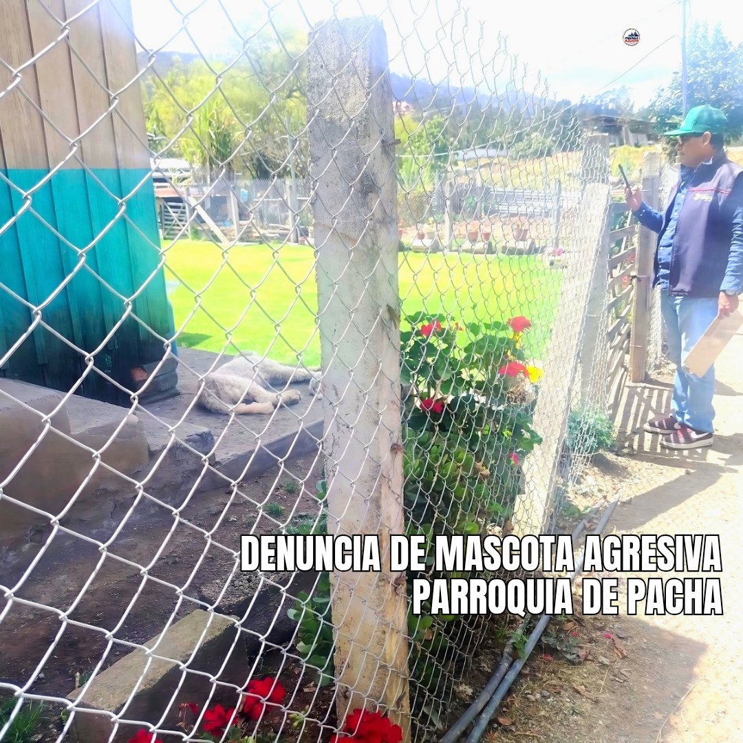 CGACuenca's tweet photo. 🐾🚨 La Patrulla Canina atendió denuncias ciudadanas en Lazareto, Isabel la Católica y Paccha. 🔎🐕 Verificamos el bienestar de los animales, emitimos reportes de inspección 📋 y socializamos la Ordenanza Municipal. ⚖️❤️
#PatrullaCanina #BienestarAnimal #Cuenca https://t.co/GVWPigJsWi