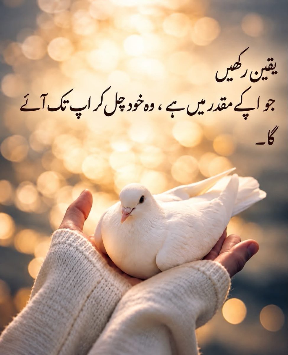 Kirankhanjgee's tweet photo. https://t.co/8HR4duINab
