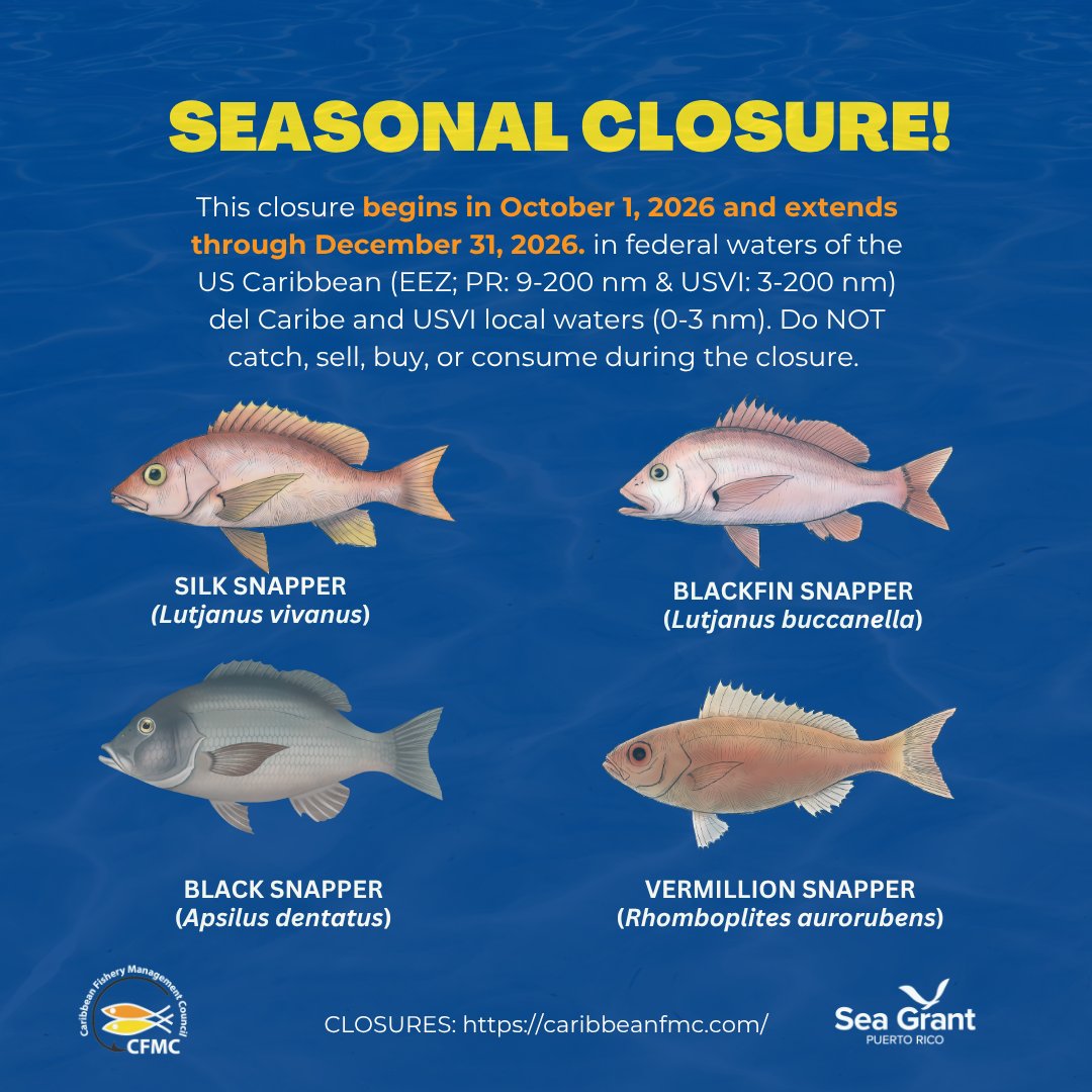 FisheryCouncil's tweet photo. 𝐒𝐄𝐀𝐒𝐎𝐍𝐀𝐋 𝐂𝐋𝐎𝐒𝐔𝐑𝐄 𝐑𝐄𝐌𝐈𝐍𝐃𝐄𝐑!
The following closures will begin in October 1st, 2026:

🟦Seasonal Prohibition on Fishing for or Possessing Blackfin, Vermilion, Black, and Silk Snapper in U.S. Caribbean Federal Waters, and

🟦Seasonal Prohibition on Fishing for or Possessing Caribbean Council-Managed Reef Fish in Federal Waters of the Bajo de Sico Management Area

See the images in this posts and visit https://t.co/8RMS1SWgtM and https://t.co/732hOljeqN
