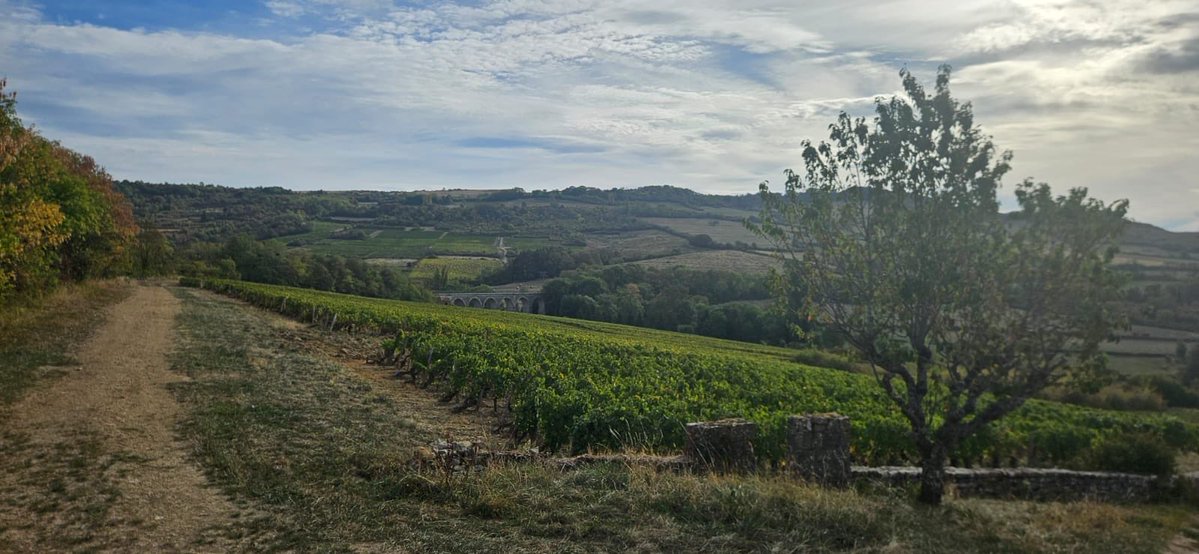 udsp89's tweet photo. 🚴‍♂️ 2ᵉ étape du Défi Vélo !

Aujourd’hui, nos cyclistes ont poursuivi leur aventure avec une nouvelle belle étape entre Autun et Lons-le-Saunier.

📍 164 km parcourus
⏱️ 6h25 de route 💪🚴‍♂️

Une nouvelle journée d’effort qui les rapproche un peu plus de leur objectif https://t.co/vIvmfV5TX7