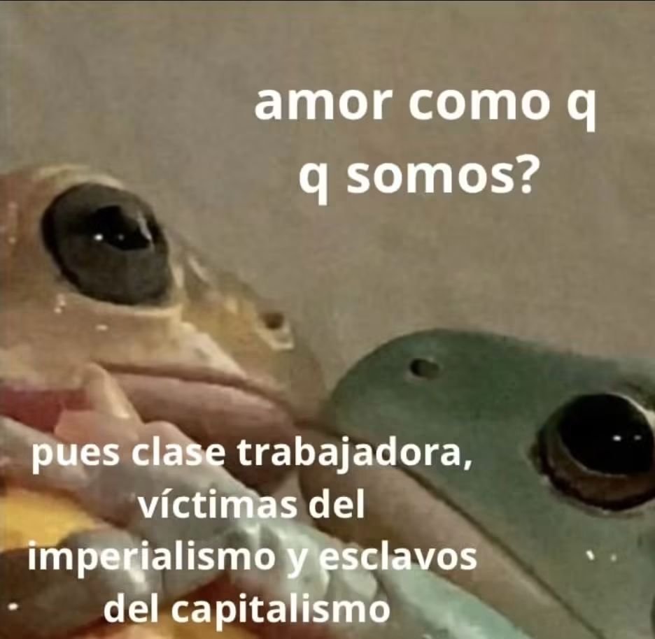 angelo_uf's tweet photo. https://t.co/AZl8EUsnig