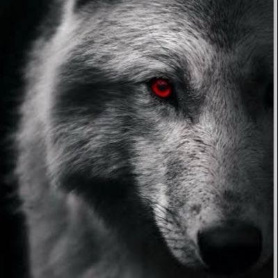 can85833169's tweet photo. #YeniProfilResmi https://t.co/u1AiJ12cR8