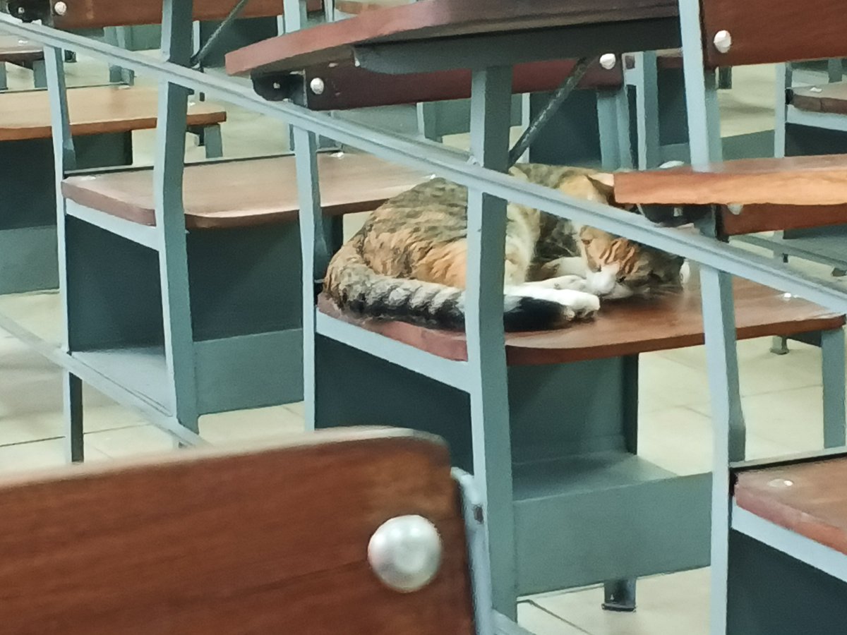 _aguustin13's tweet photo. So happy sleeping through the whole class... https://t.co/Hn1EV5sfZn
