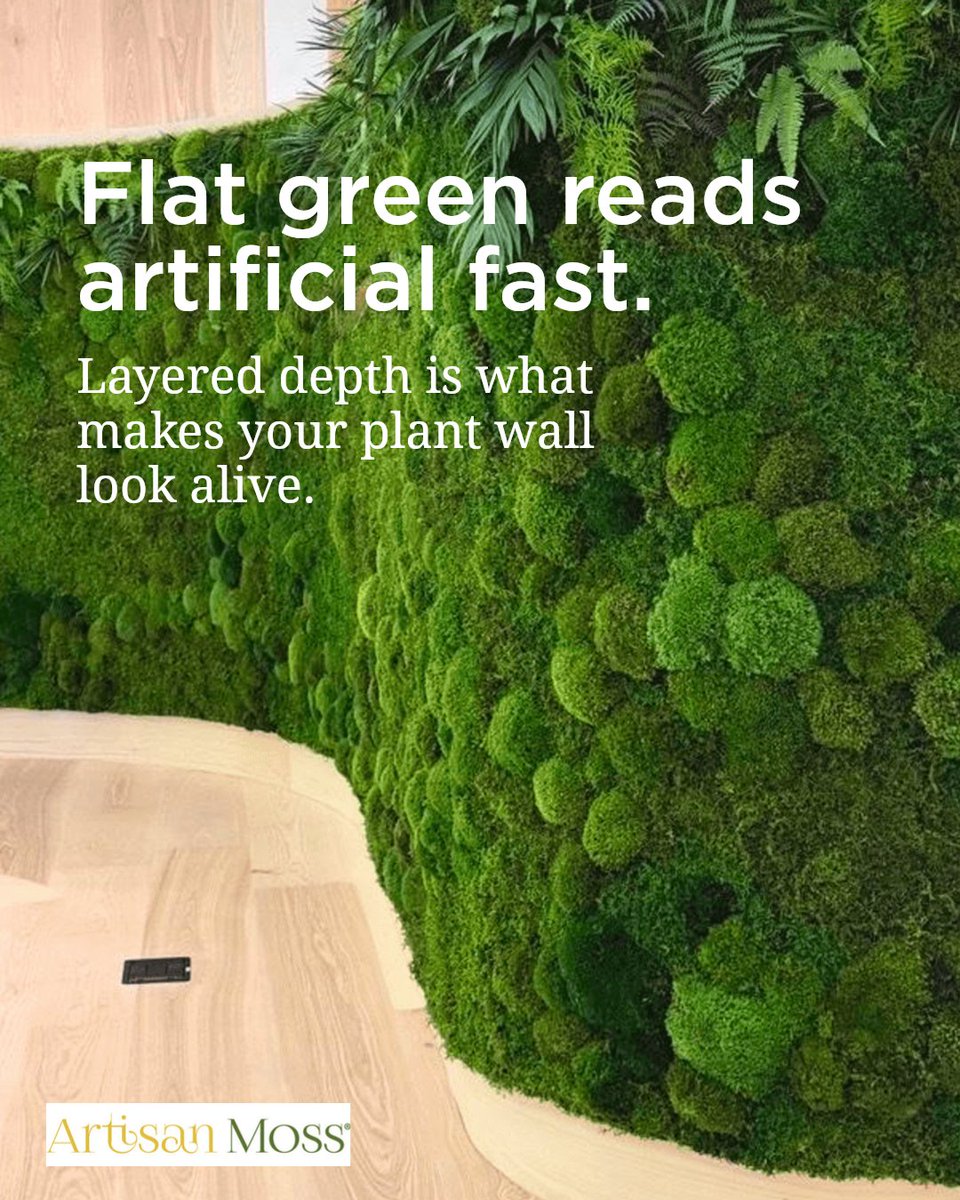 ArtisanMoss's tweet photo. Flat green reads fake fast.

Layered moss tones give the wall depth, texture, and a custom feel. That variation makes preserved botanicals look believable in a lobby, office, or home.

Shop with certainty https://t.co/TNU1swZ0jK https://t.co/fEPJZ7eSbi