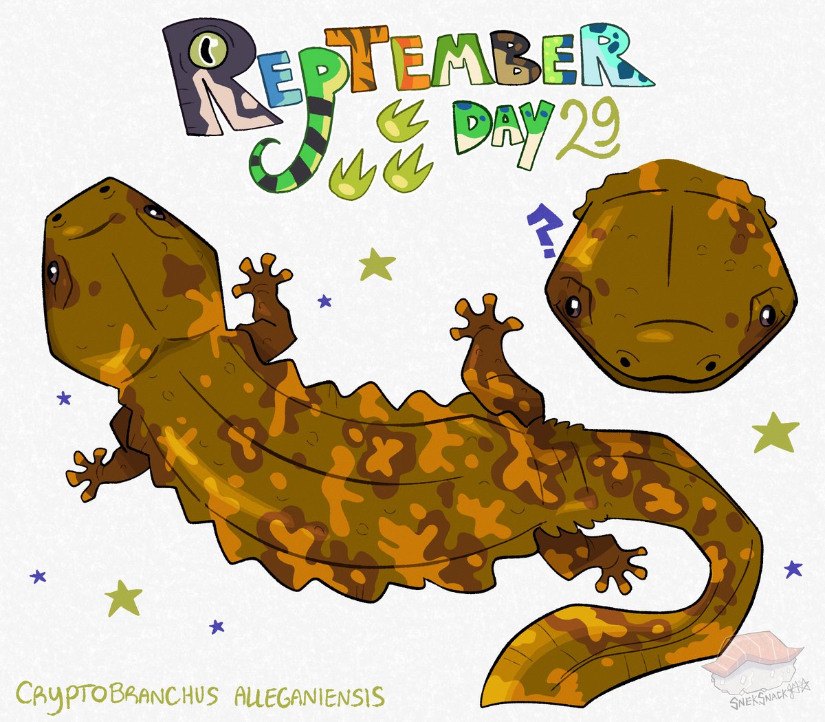 Snek_Snack's tweet photo. Reptember!
Day TWENTY-NINE?! ALMOST THERE! 😈🦎

Hellbender!
Speak of the devil! https://t.co/CSLbV1aIyh