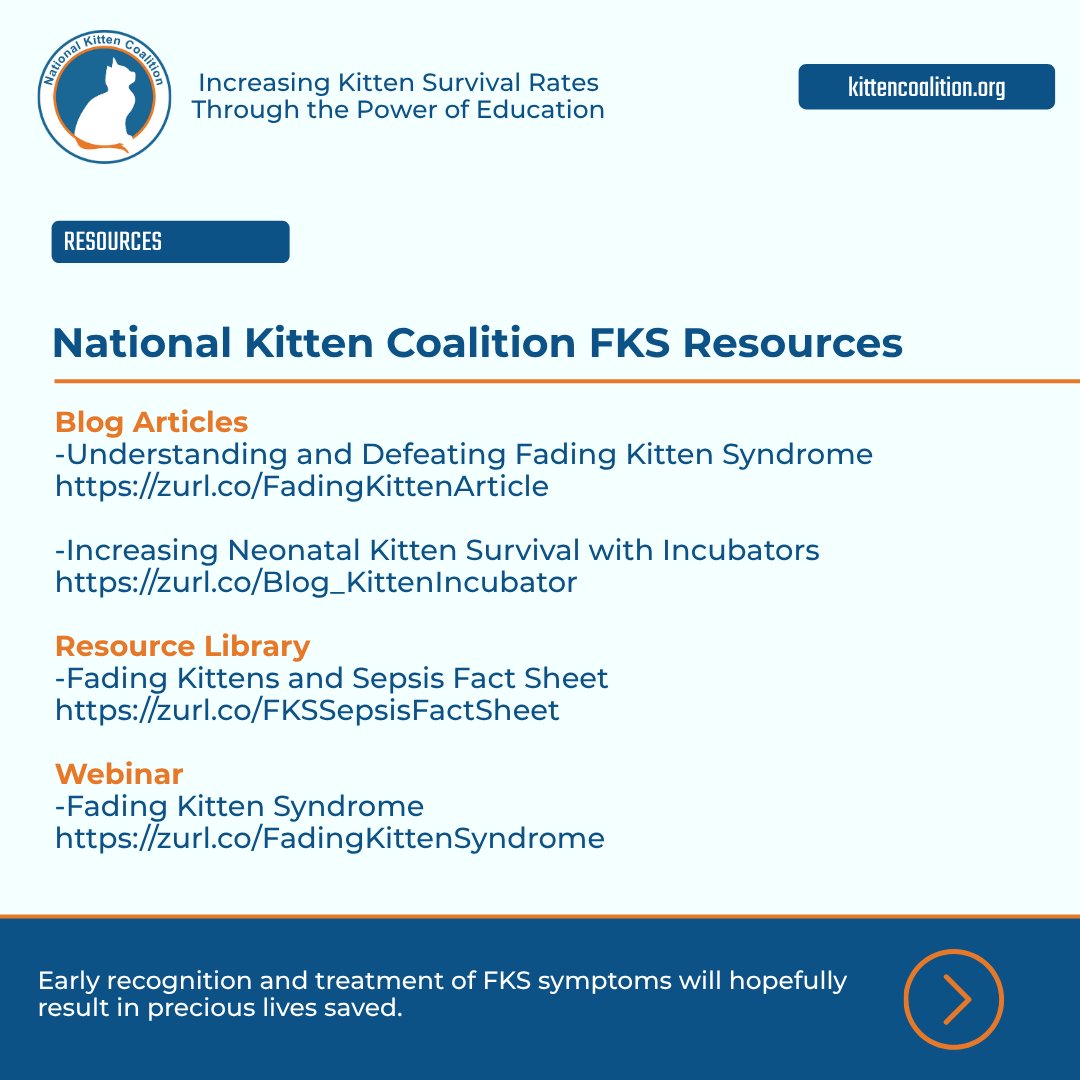 NationalKitten's tweet photo. We've gathered our complete Fading Kitten Syndrome resources in one place, including a fact sheet, a webinar, and blog articles. Please save this post so you can find it whenever you need it.
#SaveMoreKittens #FadingKittenSyndrome #FKS https://t.co/fHAWyLMf3w