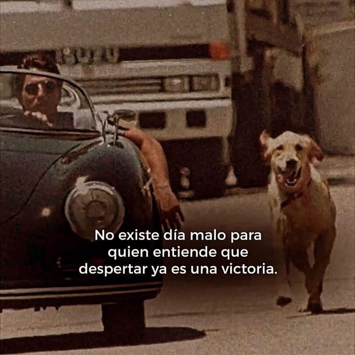 SoybienAlex's tweet photo. https://t.co/JRbowZy800
