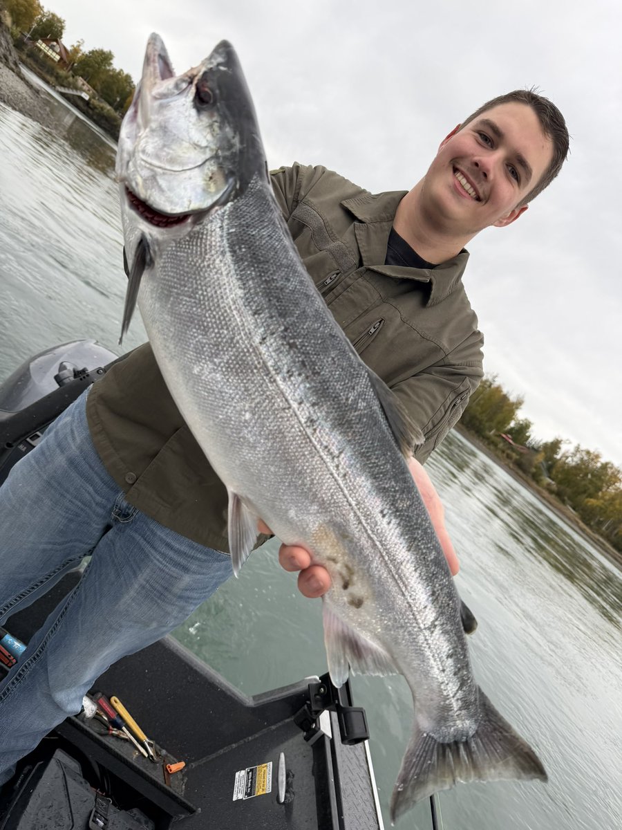 iKingoftheRiver's tweet photo. Like share and follow our guided fishing trips on the Kenai &amp; Kasilof Rivers in Alaska if you love fishing! 

#fishingfollowers #alaskadestinations #foryoufish #famousriver #salmonfishing  #fishingaddicts #catchdaily  #likesharefollow #fishingtrips #alaskalife https://t.co/zOd9fre7gs