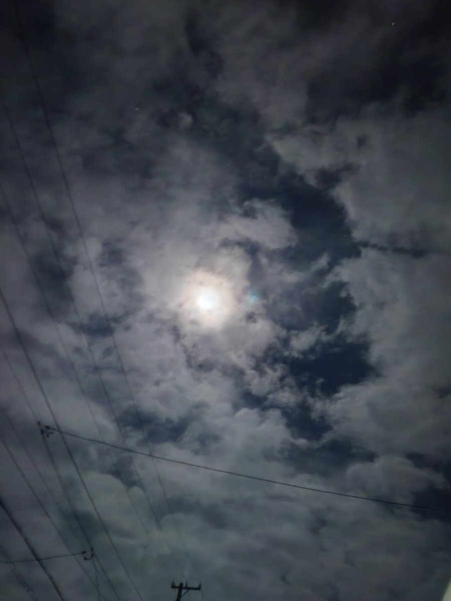 yakabemax's tweet photo. おはようございます
9月30日    水曜日

昨夜までの☔も上がり…
ヒンヤリの朝です…
17℃…
巷で言う衣替えの季節に、
なるんですよね〜
数年あまり意識してなかったです…😁

9月もありがとうございましました😊

事故、体調に気をつけて⚠️

ご安全に👍 https://t.co/kFWk2FcQYx